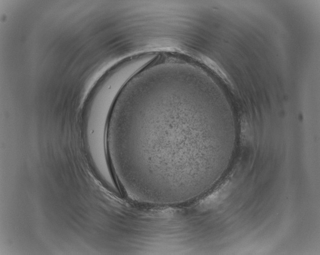 X0000072550926200607141249