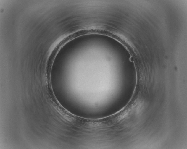 X0000072550927200607141249