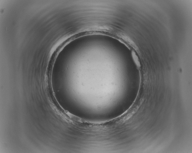 X0000072550928200607141249