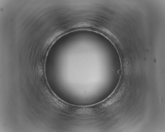 X0000072550929200607141249