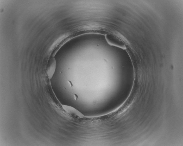 X0000072550930200607141249