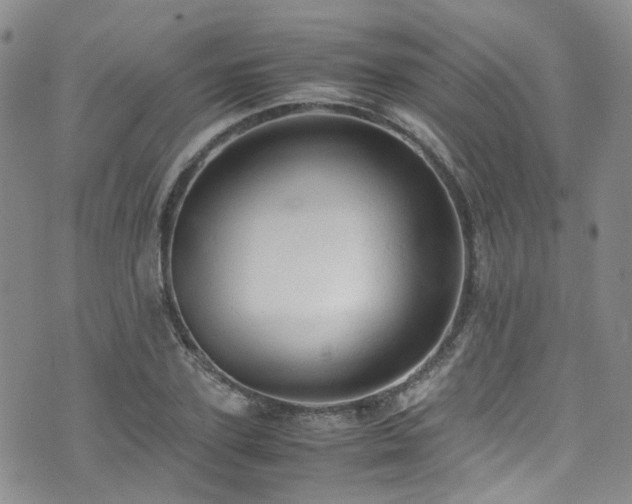 X0000072550931200607141249