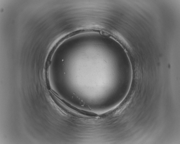 X0000072550932200607141249