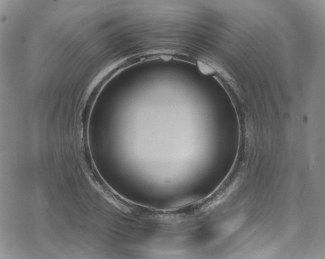 X0000072550933200607141249