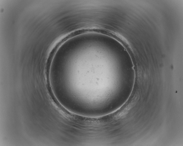 X0000072550935200607141249