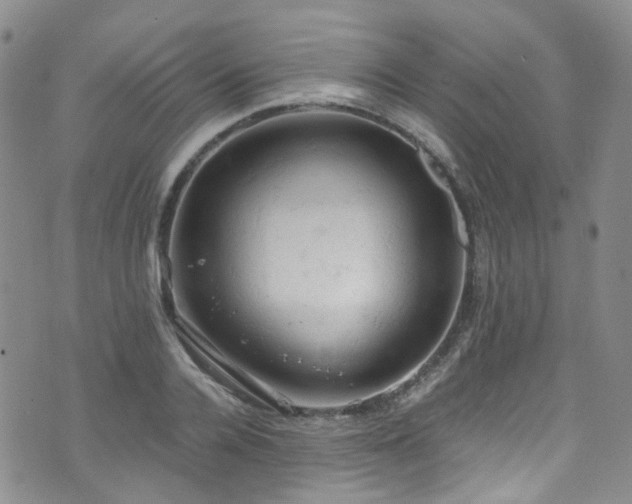 X0000072550936200607141249