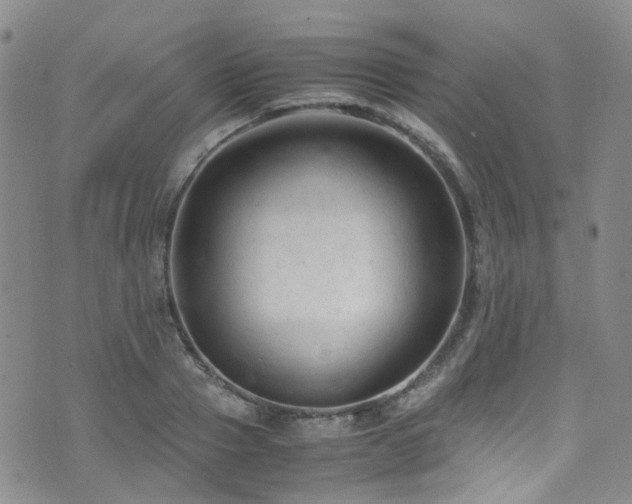 X0000072550937200607141249