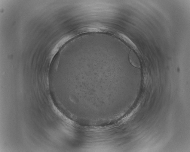 X0000072550938200607141249