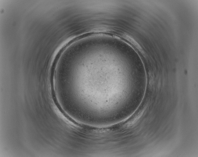 X0000072550939200607141249