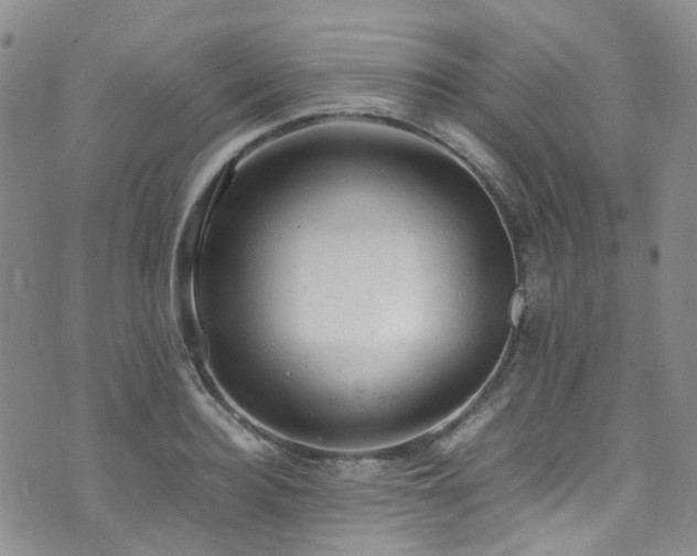 X0000072550940200607141249