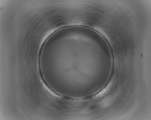 X0000072550941200607141249