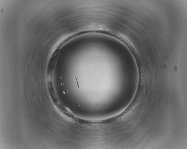 X0000072550942200607141249