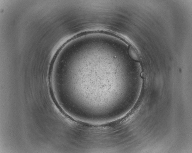 X0000072550943200607141249