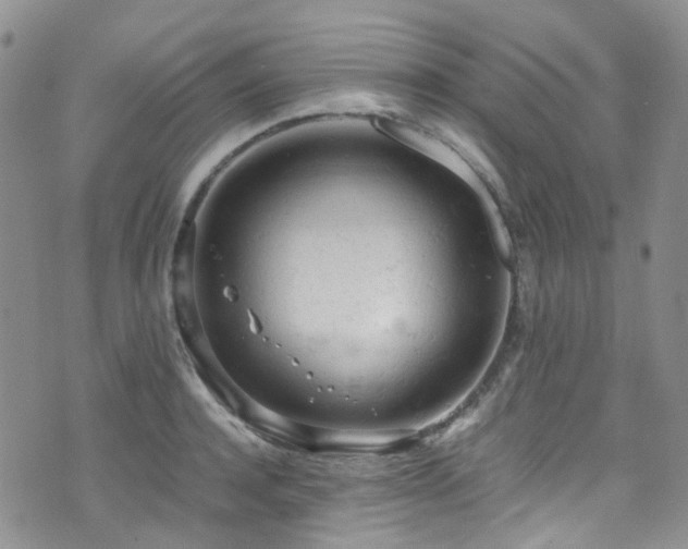 X0000072550944200607141249