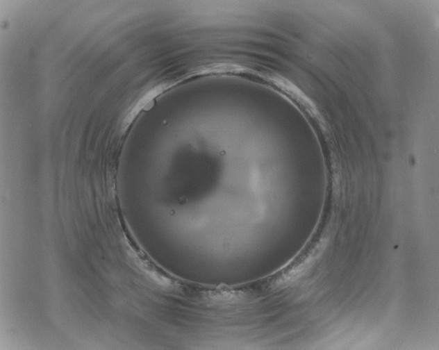 X0000072550945200607141249