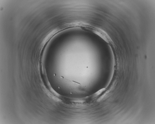 X0000072550946200607141249