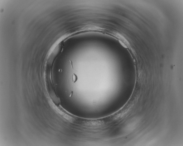 X0000072550947200607141249