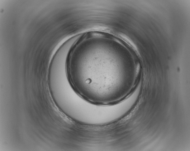 X0000072550948200607141249