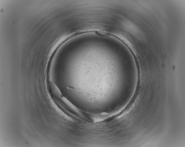 X0000072550949200607141249