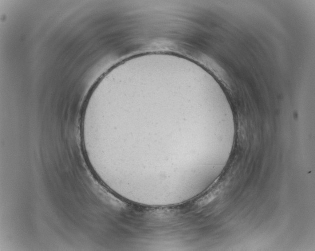 X0000072550950200607141249