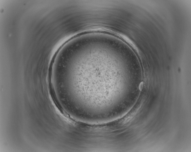 X0000072550951200607141249