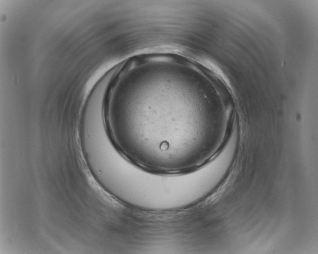 X0000072550952200607141249