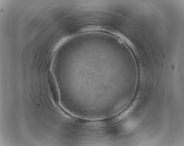 X0000072550953200607141249