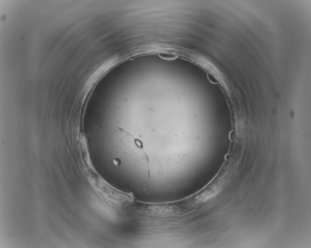 X0000072550954200607141249