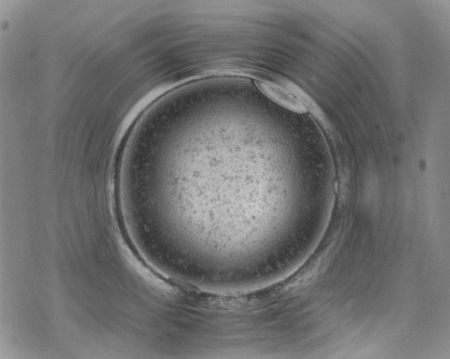 X0000072550955200607141249