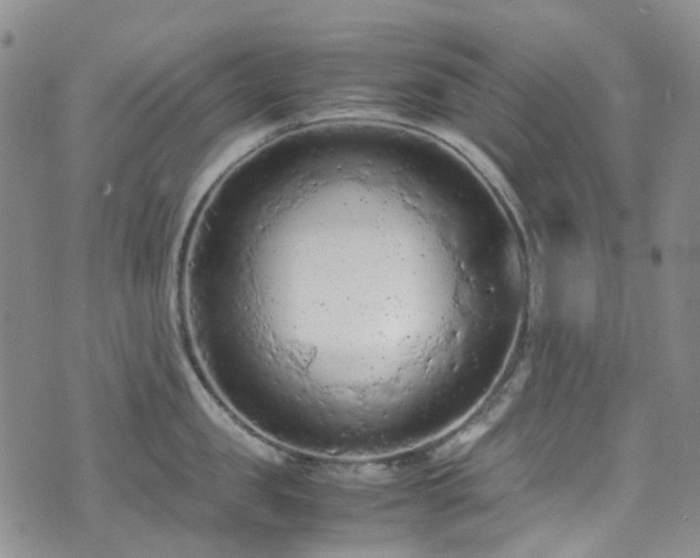 X0000072550957200607141249