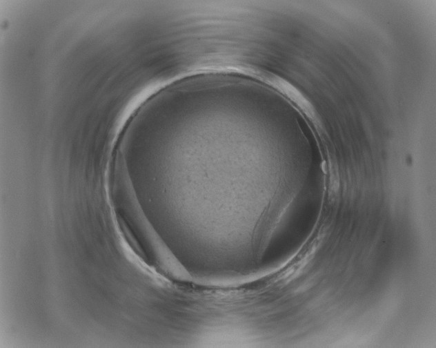 X0000072550958200607141249