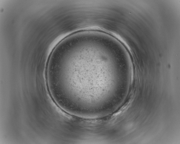 X0000072550959200607141249