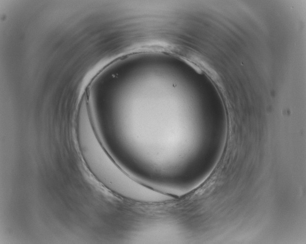 X0000072550960200607141249