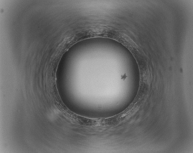 X0000072550961200607141249