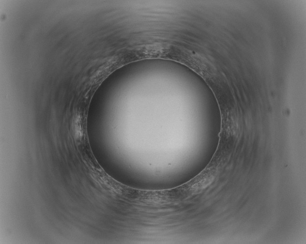 X0000072550962200607141248