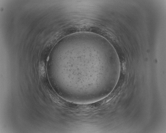 X0000072550963200607141248