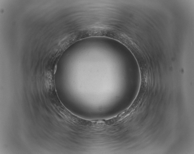 X0000072550964200607141248