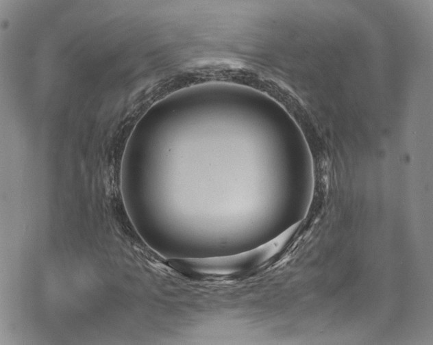 X0000072550965200607141248