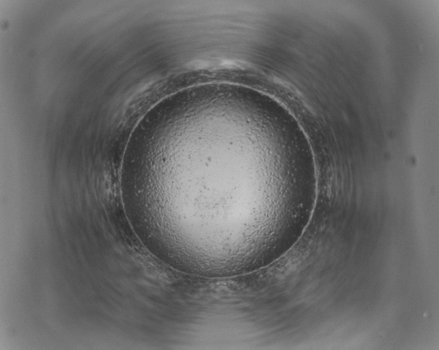 X0000072550966200607141248