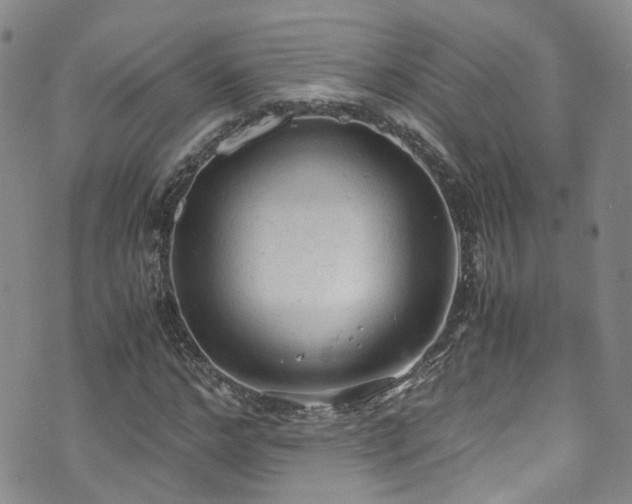 X0000072550968200607141248