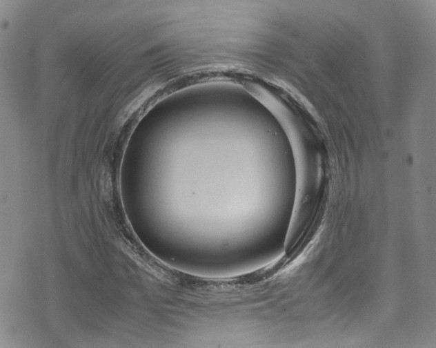 X0000072550969200607141248