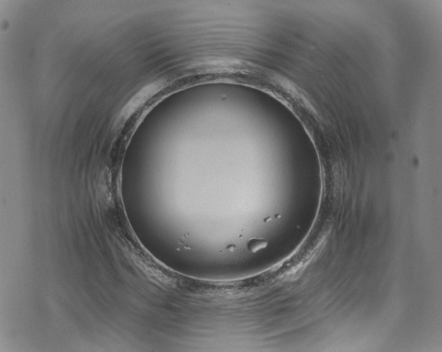 X0000072550970200607141248