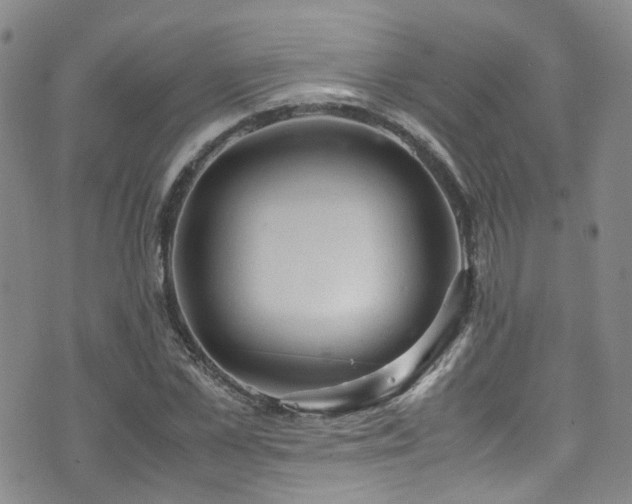 X0000072550973200607141248