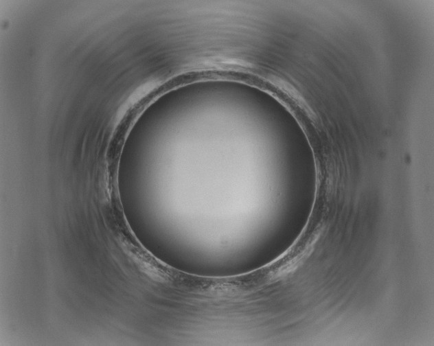 X0000072550974200607141248