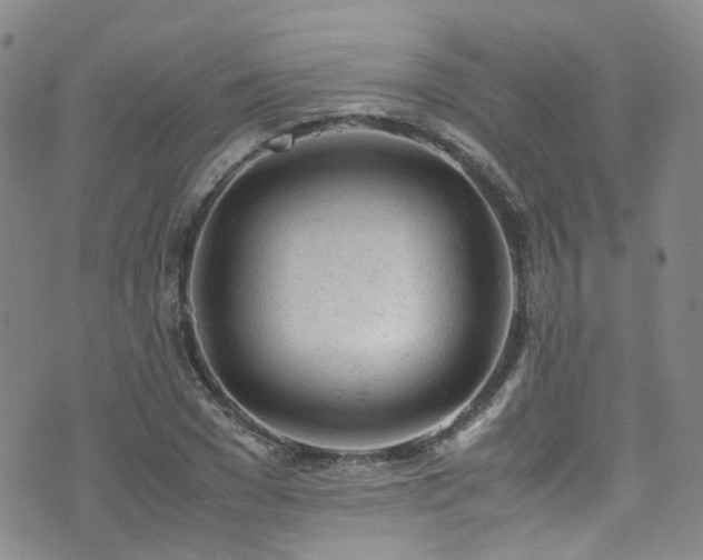 X0000072550977200607141248