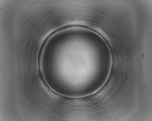 X0000072550980200607141248