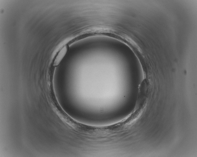 X0000072550981200607141248