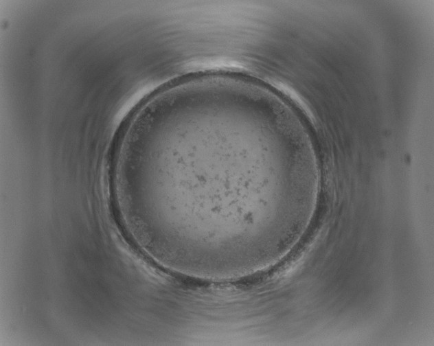 X0000072550983200607141248