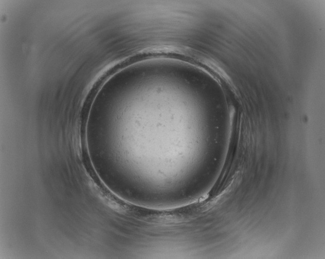 X0000072550984200607141248