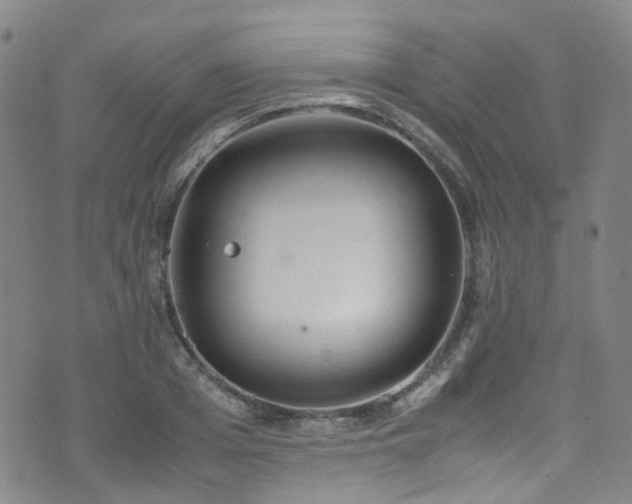 X0000072550985200607141248